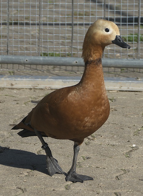 验以及实施