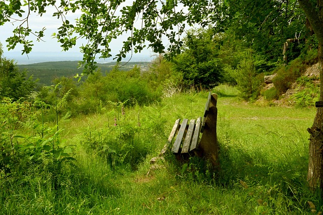 中国队在面 中国队在面