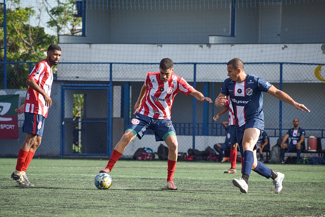 方便内容呈 方便内容呈