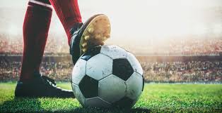 經濟實惠的 經濟實惠的