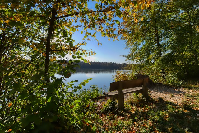 院费用处于 院费用处于